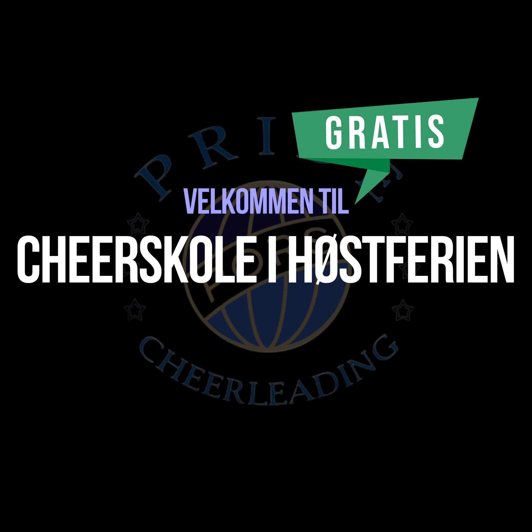 Read more about the article Velkommen til GRATIS cheerskole i uke 41!